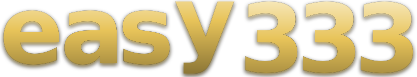 easy 333 logo